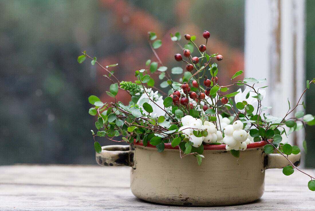 Enamel pot filled with snowberries, rosehips, heather and Mühlenbeckia