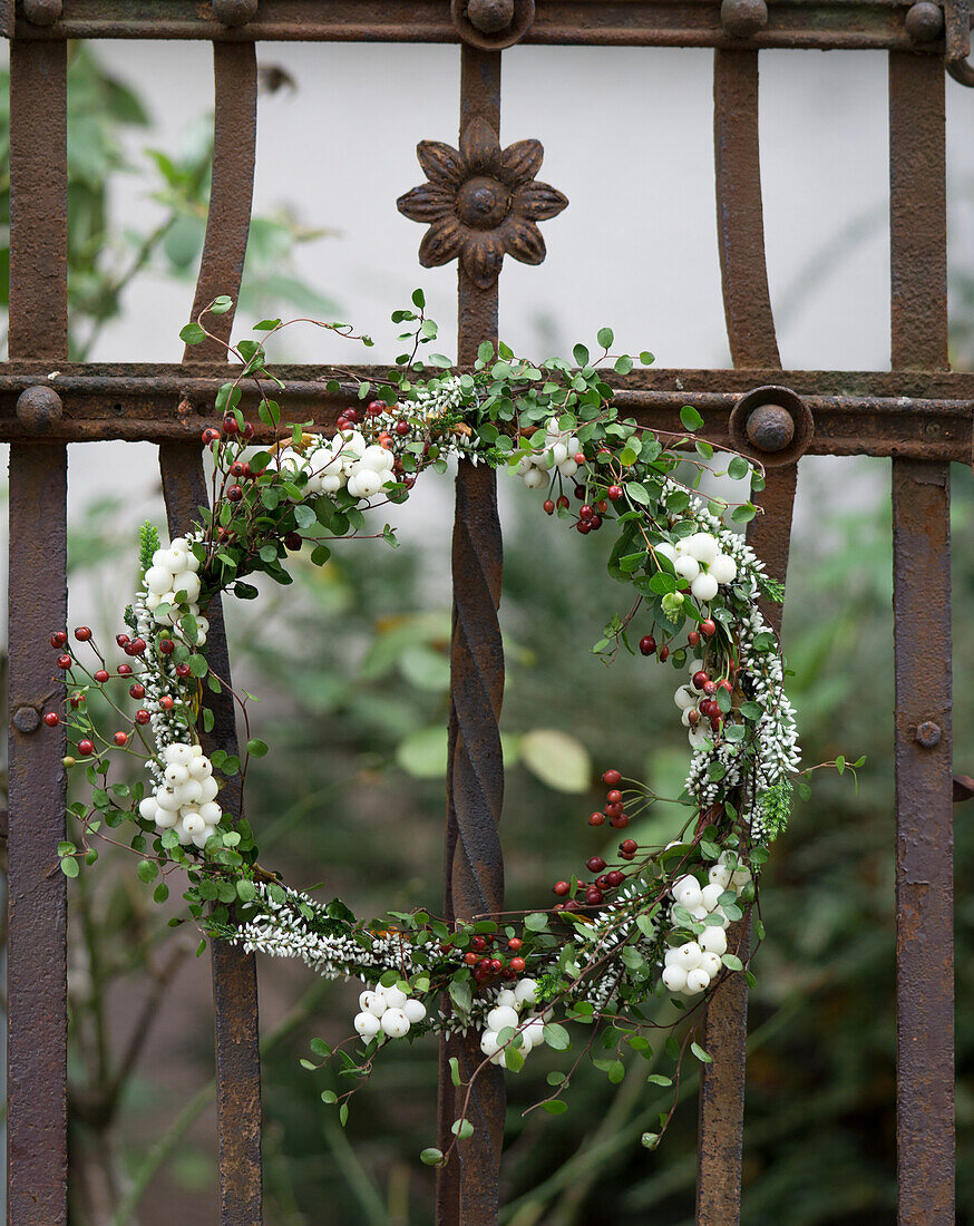 Wreath of snowberries, rosehips, heather and Mühlenbeckia on an old, iron fence