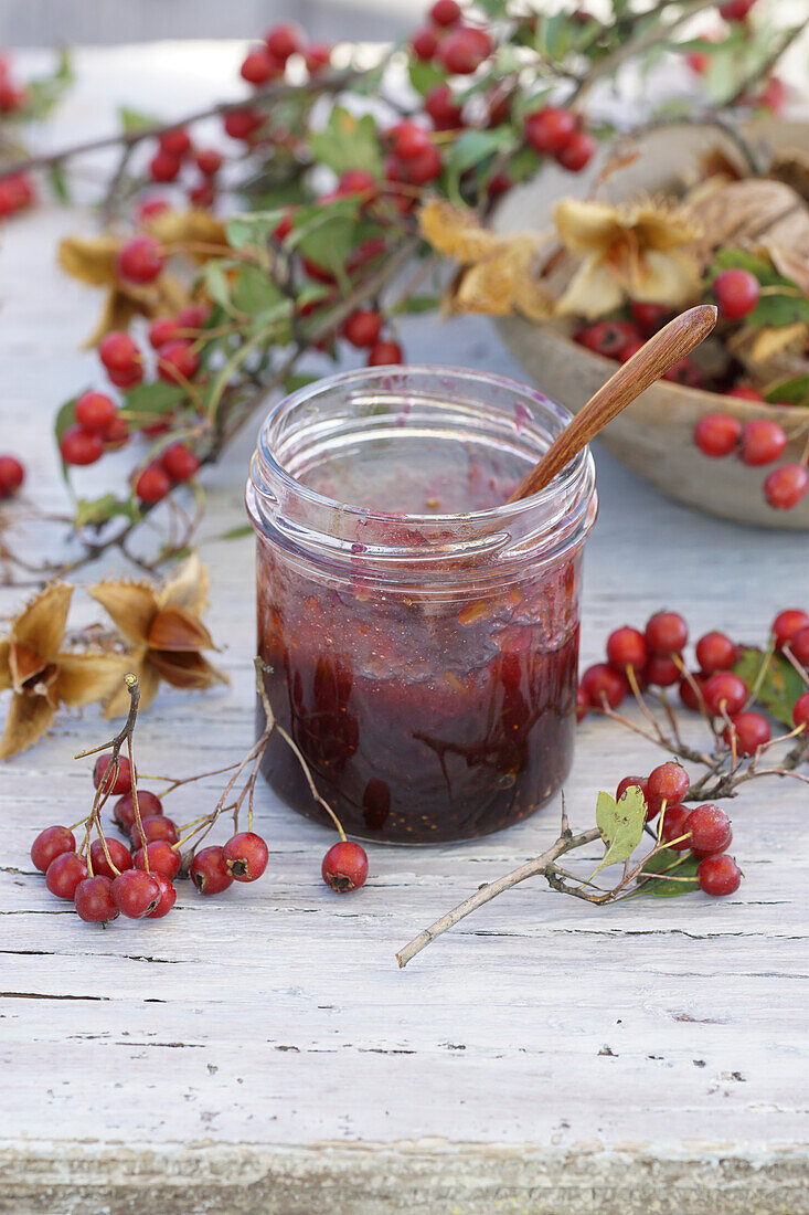 Weißdornmarmelade, mit Weißdorn und Bucheckern