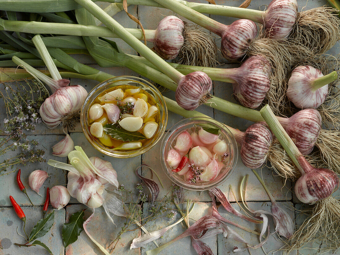 Stilleben mit Knoblauch, eingelegtem Knoblauch, Thymian, Lorbeer und Chili