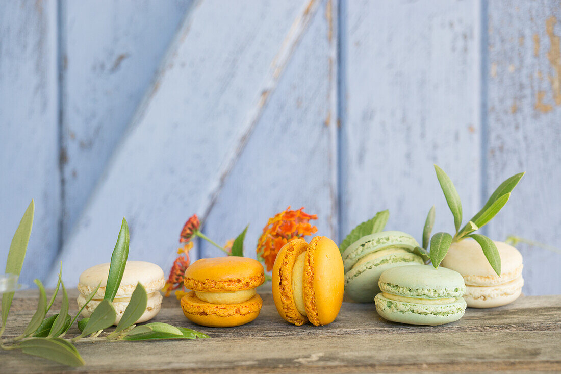 Assorted macarons, olive branches, and Lantanas