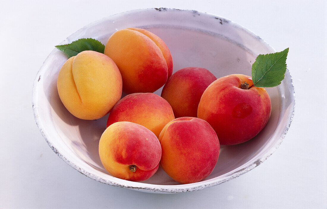 Apricots in a bowl