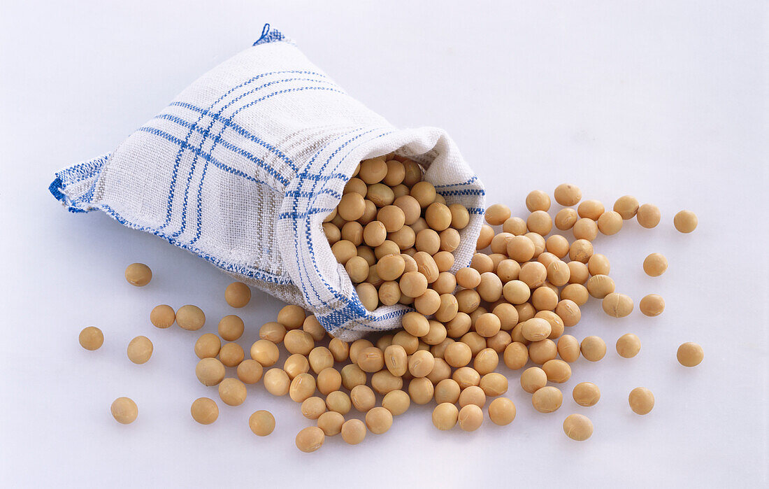 A small bag of soybeans on a light background