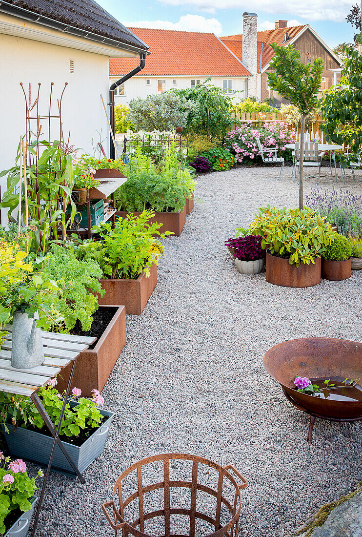 Raised beds in a gravel garden