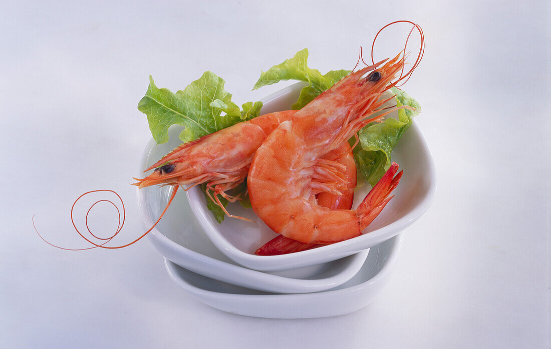 Bowl with prawns and lettuce on a light background