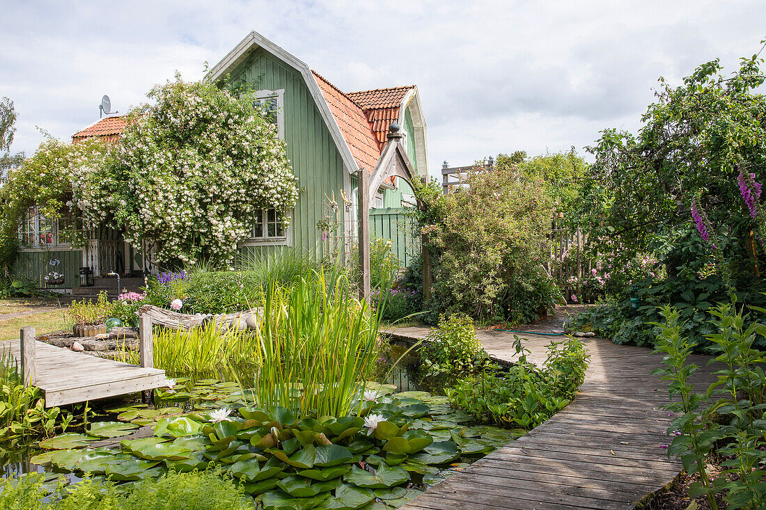 Garden pond with water plants and wooden footbridge