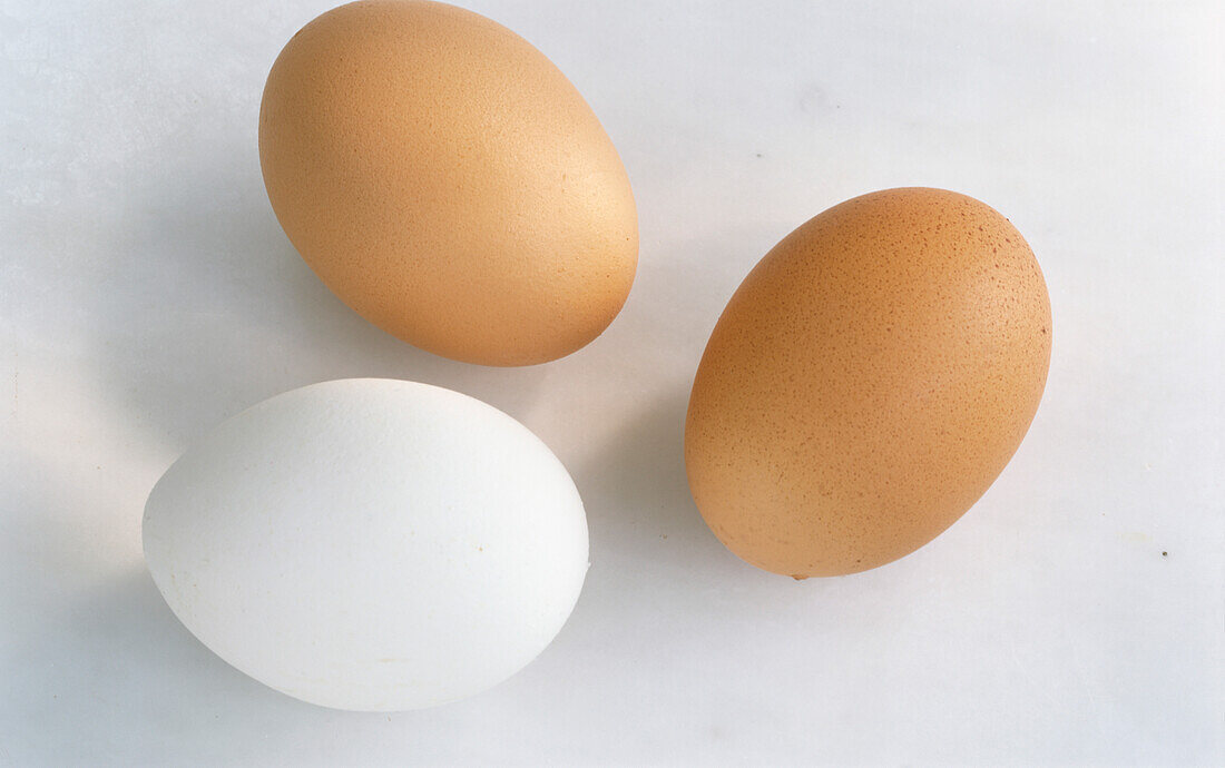 Three eggs, two brown and one white, on a light background