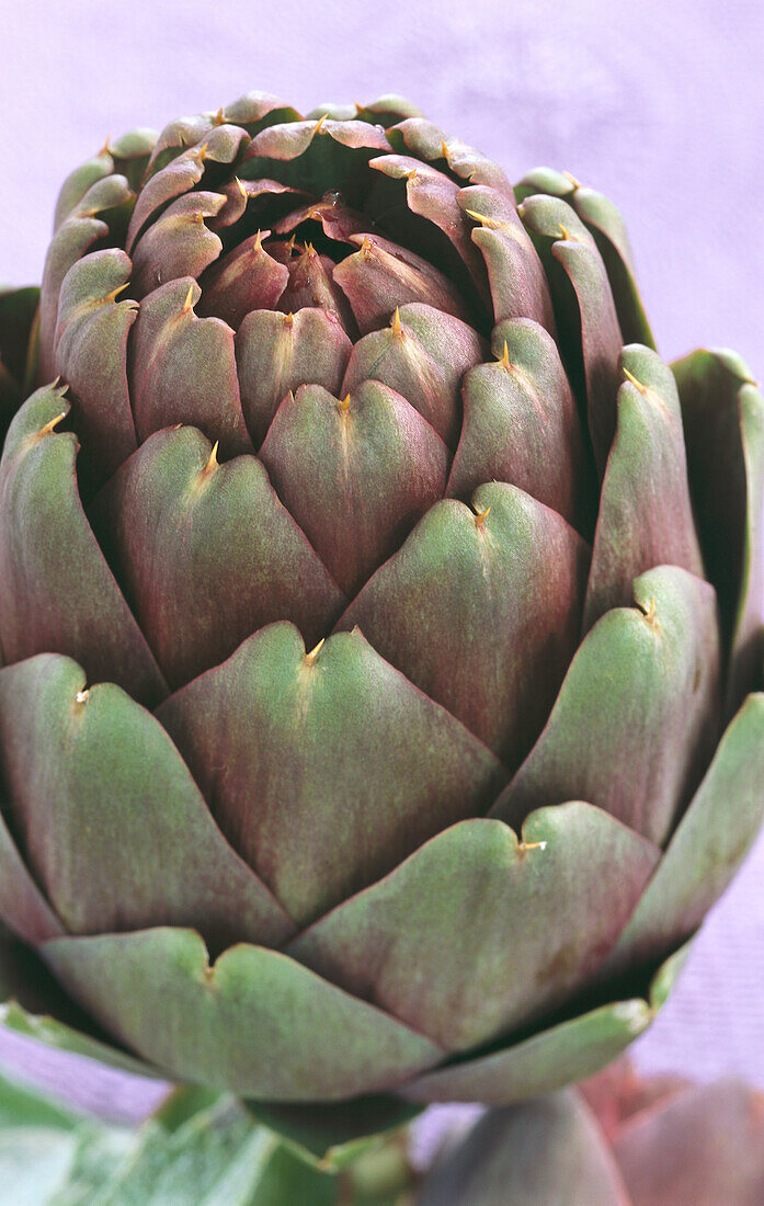 An artichoke (close-up)