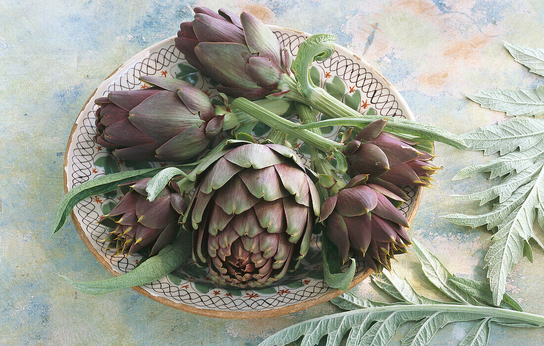 Fresh artichokes with leaves on a plate