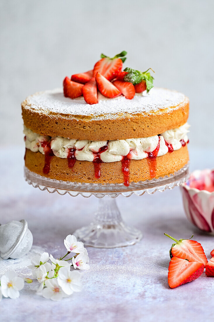 Victoria Sponge Cake - Biskuitkuchen mit Sahne und Erdbeeren