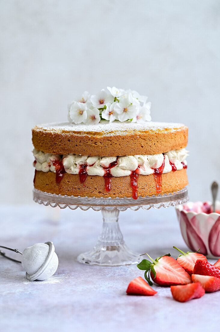 Victoria Sponge Cake - Biskuitkuchen mit Sahne und Erdbeeren