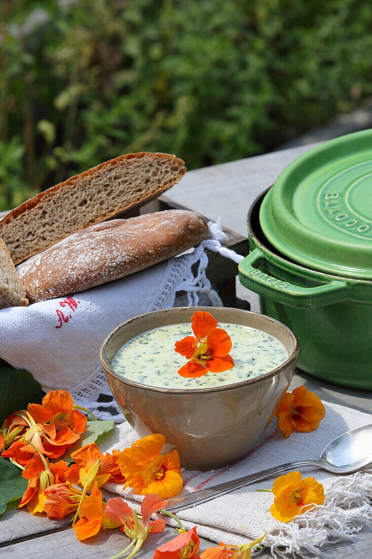 Nasturtium soup for blood cleansing and detoxification