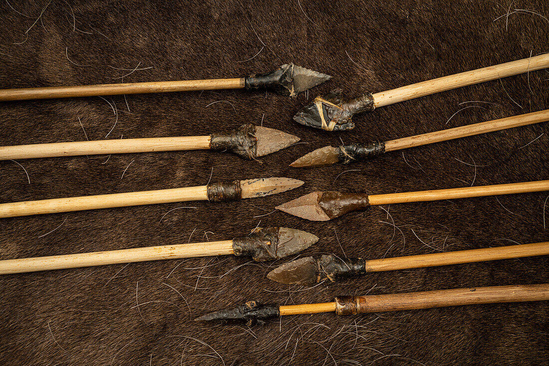 Prehistoric arrows