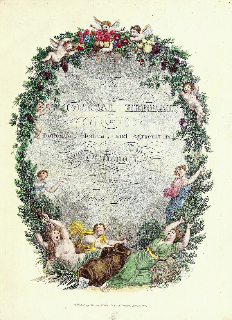 Frontispiece from the universal herbal dictionary, 1816