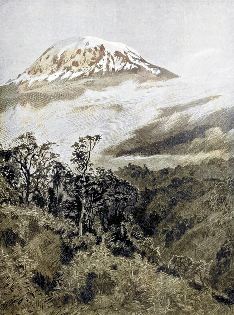 Snowy dome of Kilimanjaro