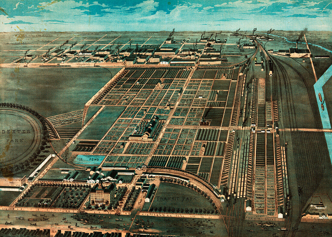 Great Union Stock Yards, Chicago, USA, 19th century