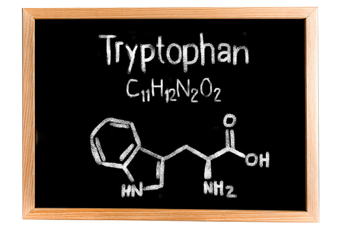 Chemical composition of tryptophan, conceptual image