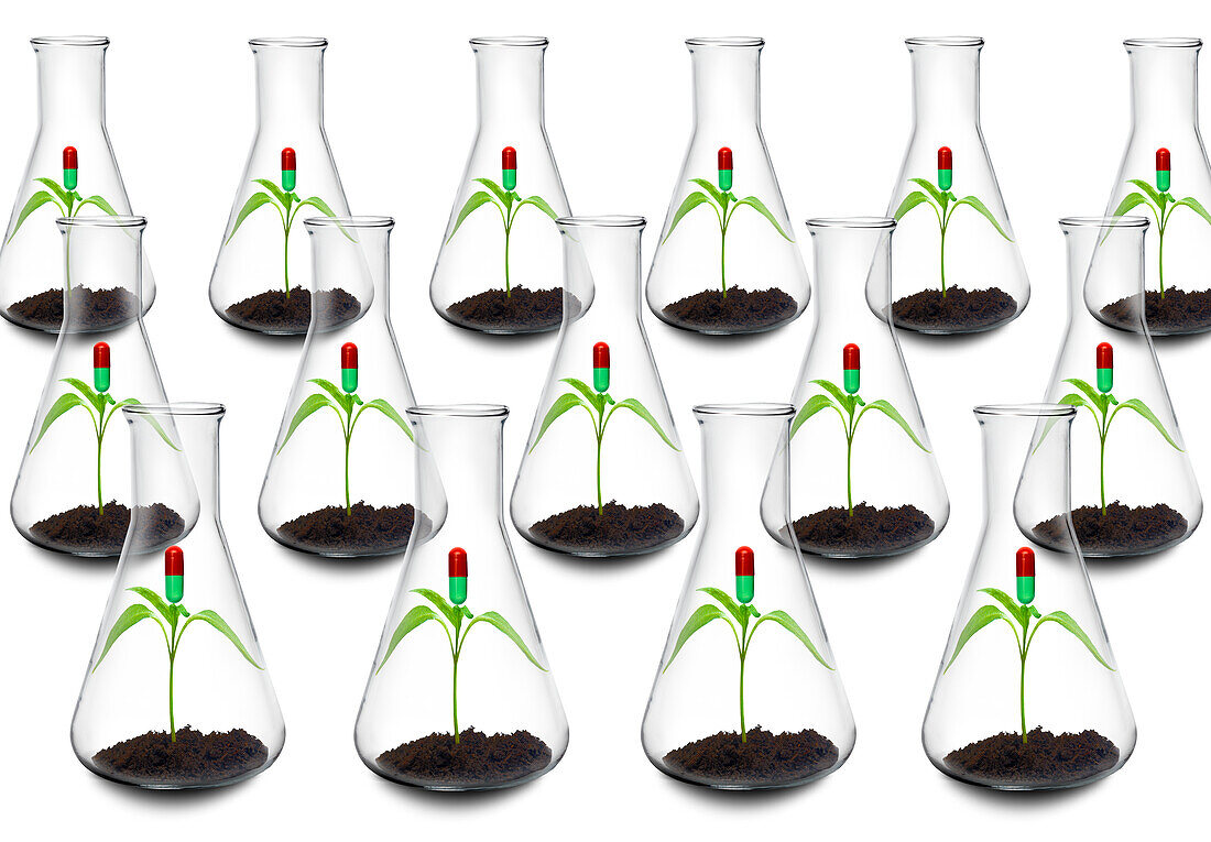 Botanical research for new medications, conceptual image