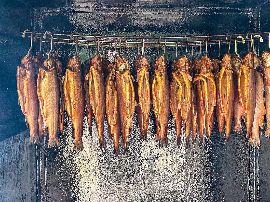 Suspended smoked trout