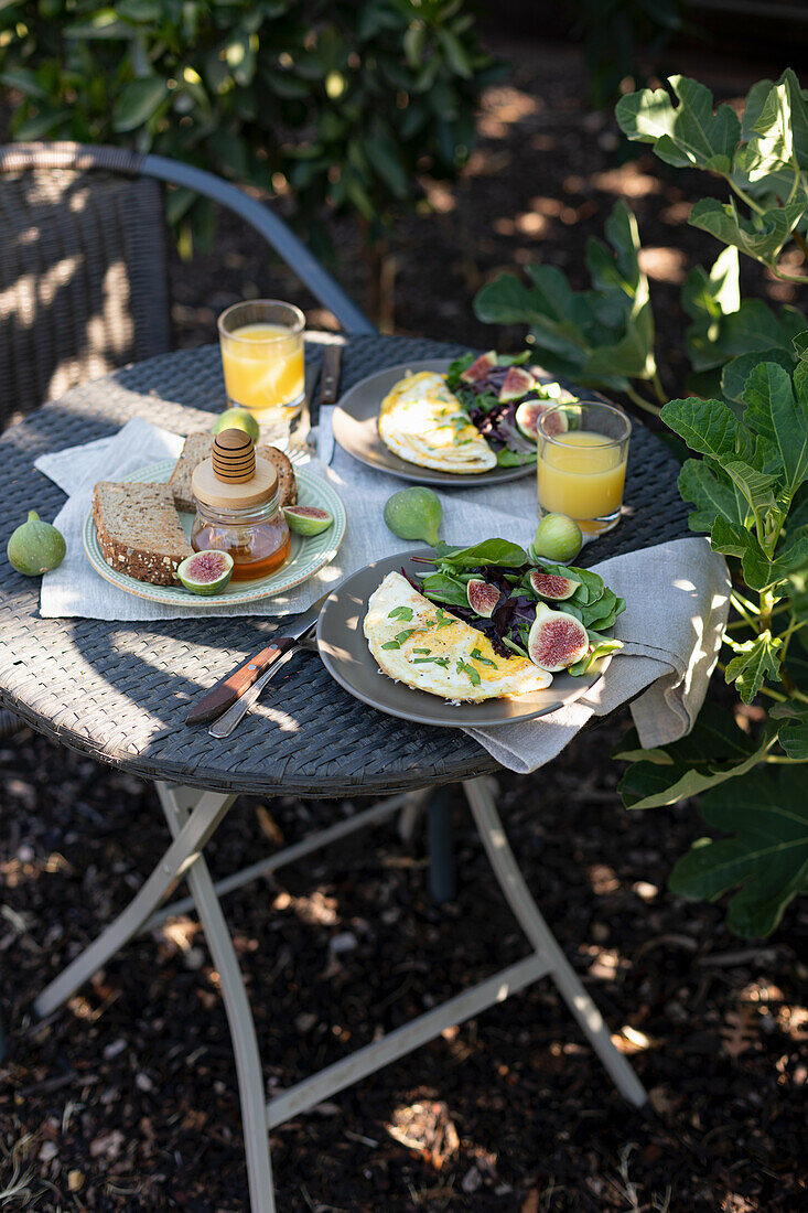 Autumn brunch with omelette, figs, and salad in the open air