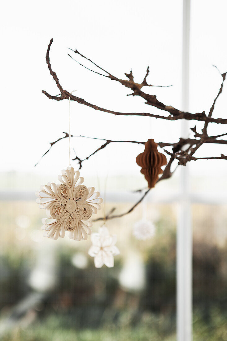 Branches with scrolled paper ornaments in front of a window