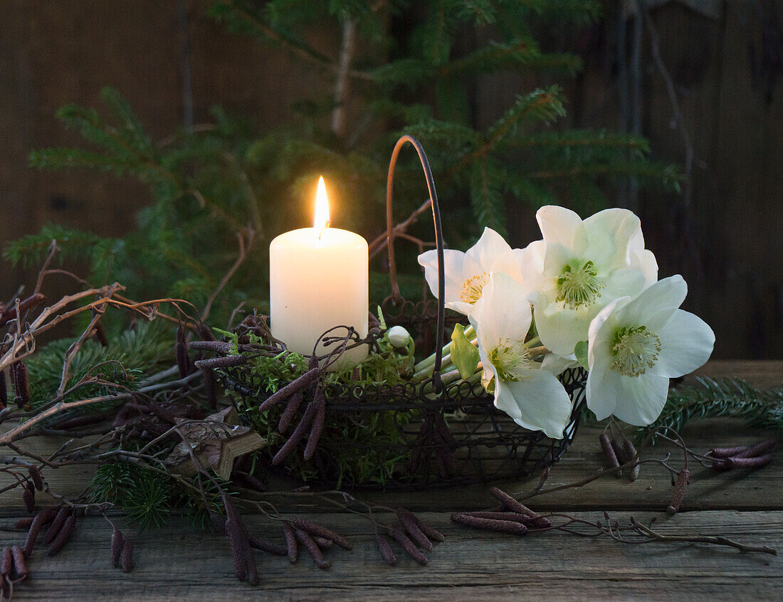 Kerze in Metallkörbchen mit Christrosen