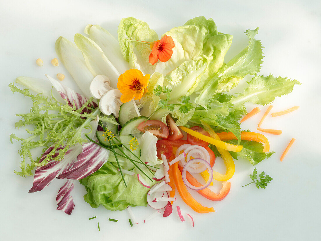 Hellgrüner Salat und verschiedene andere Salatzutaten auf hellem Untergrund