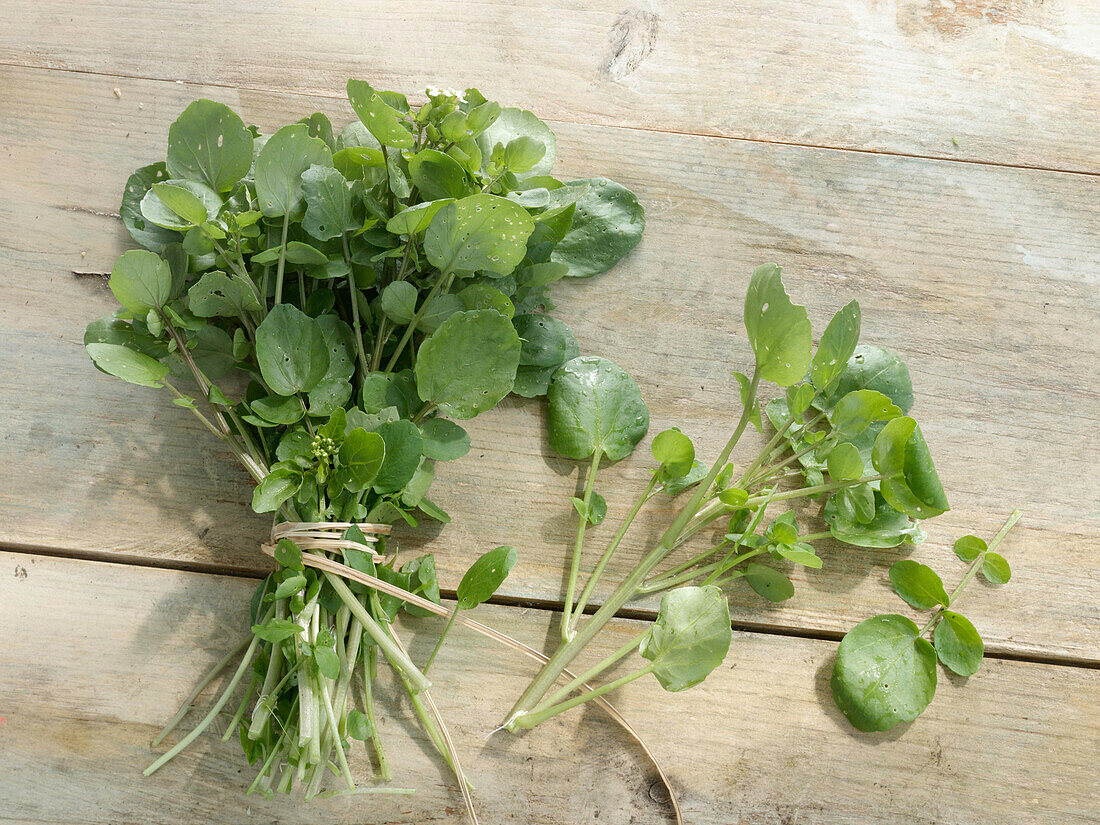 A bunch of watercress on a wooden background