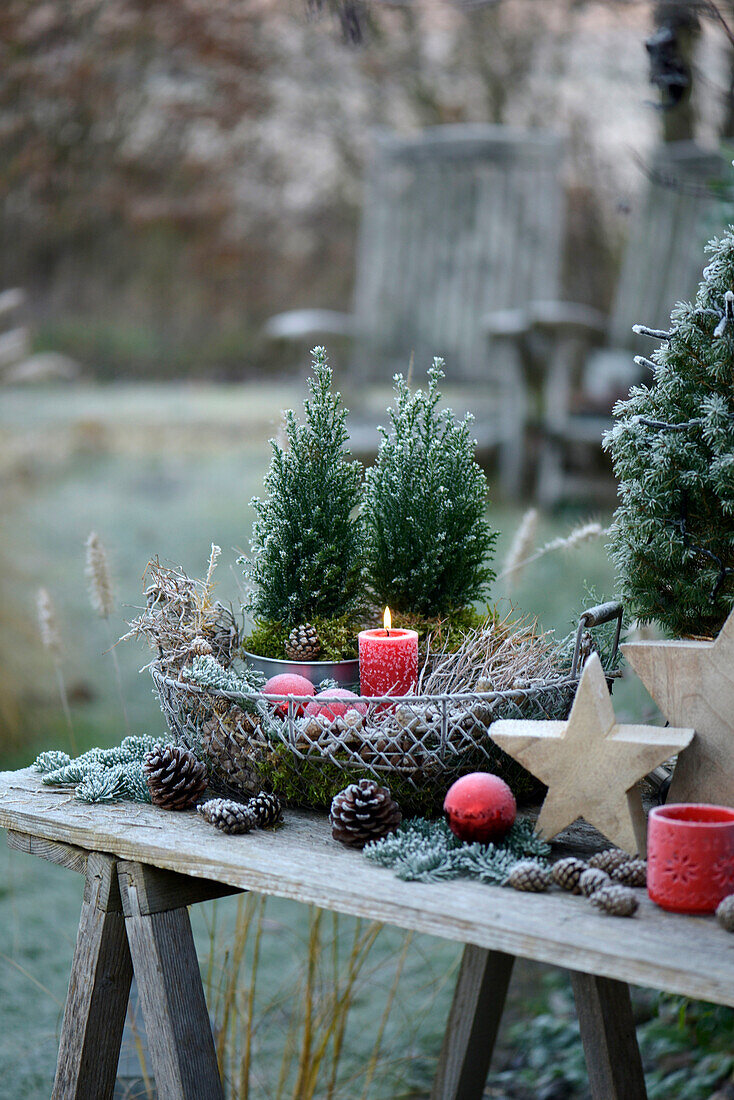 Winter decoration with hoarfrost on a plant table