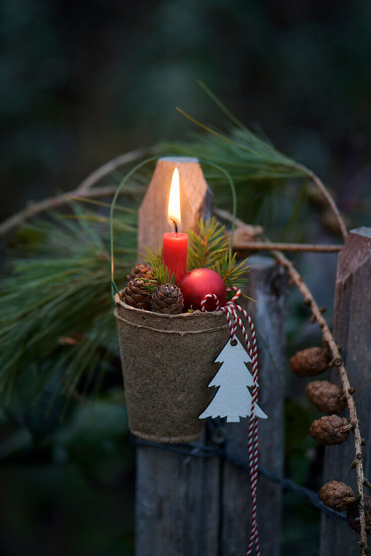 Growing pots with Christmas accessories