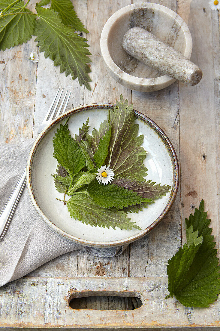 Nettle with daisies on a plate