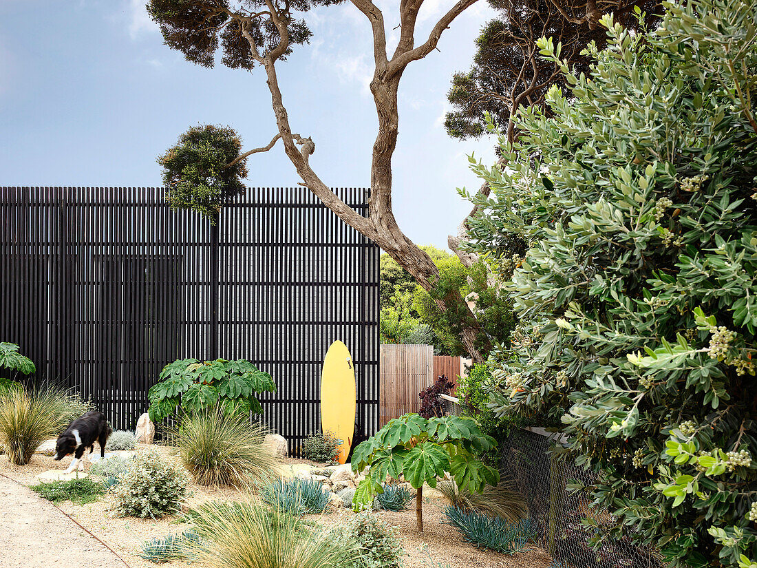 Garden of a coastal house, surfboard in the background