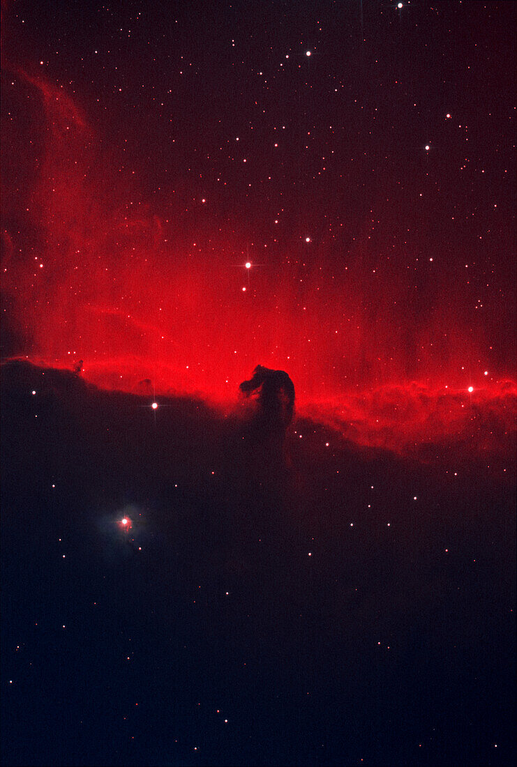 Horsehead nebula complex