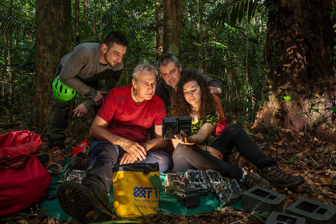 Researchers watching footage taken from a yayamadou tree