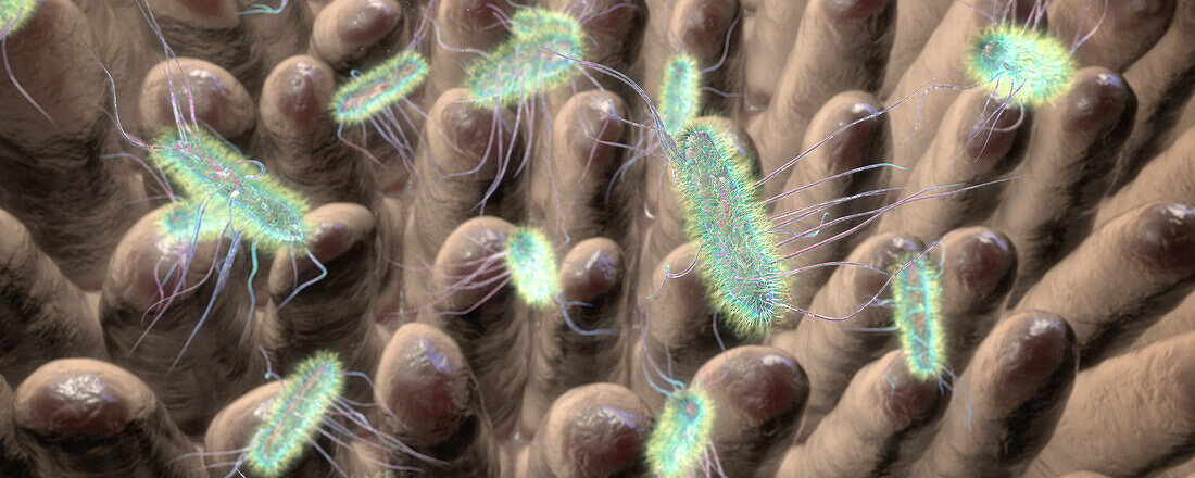 Intestinal villi and bacteria, illustration