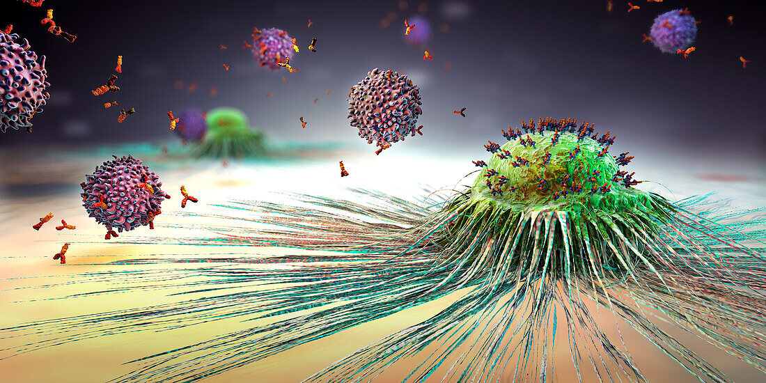 Lymphocytes attacking cancer cell, illustration