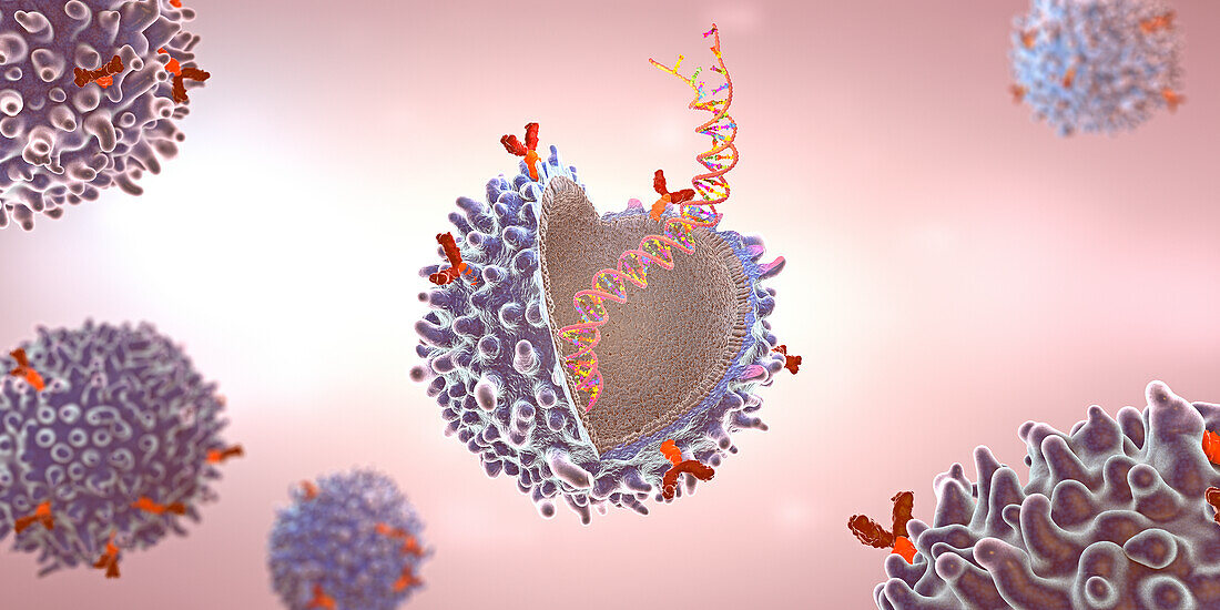 CAR T cell, illustration