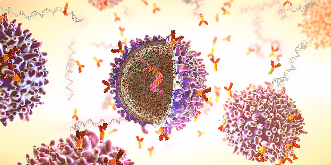 CAR T cell, illustration