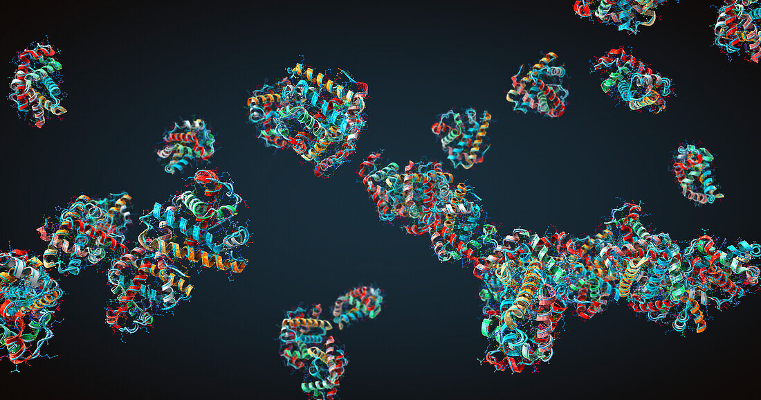 Proteins, illustration