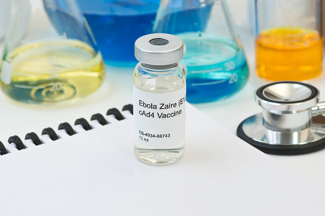 Ebola vaccine research