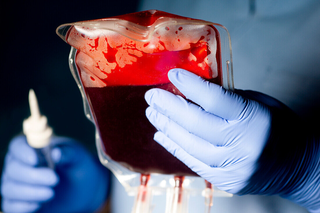 Nurse preparing donor IV blood unit for transfusion