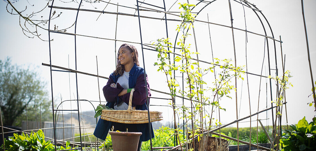 Young woman harvesting vegetables under trellis in garden