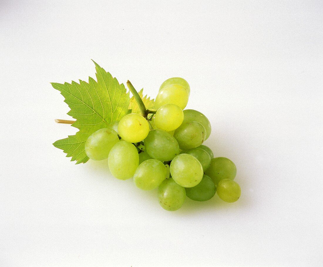 Bunch of Plump Green Grapes