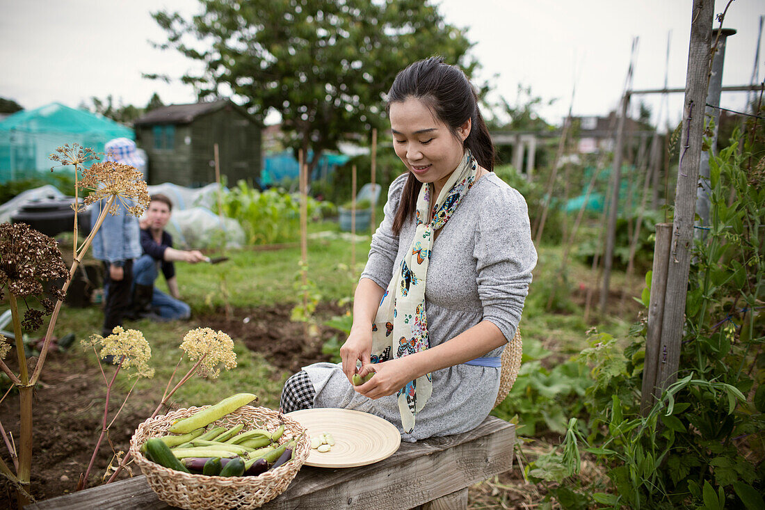 Smiling woman shelling beans on allotment
