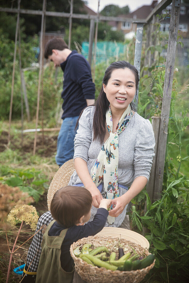 Smiling mother and son harvesting vegetables on allotment