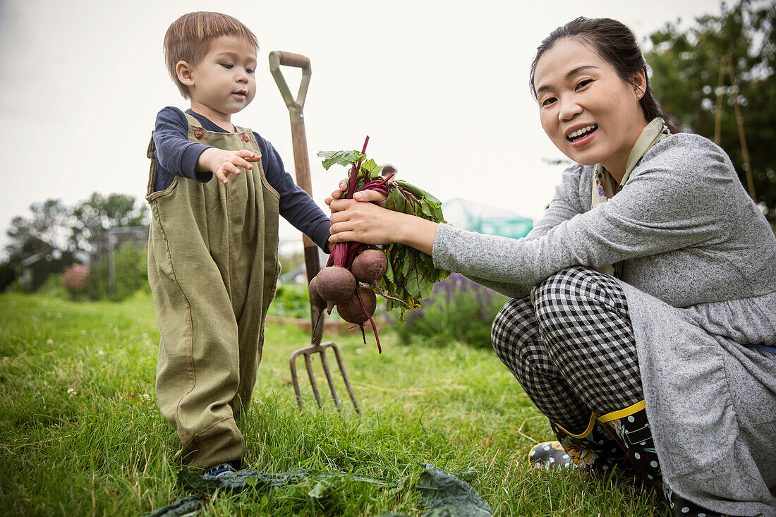 Happy mother and son harvesting beets in garden
