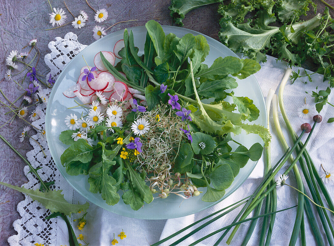 Frühlingssalat mit Gartenkräutern, Wildkräutern und Sprossen