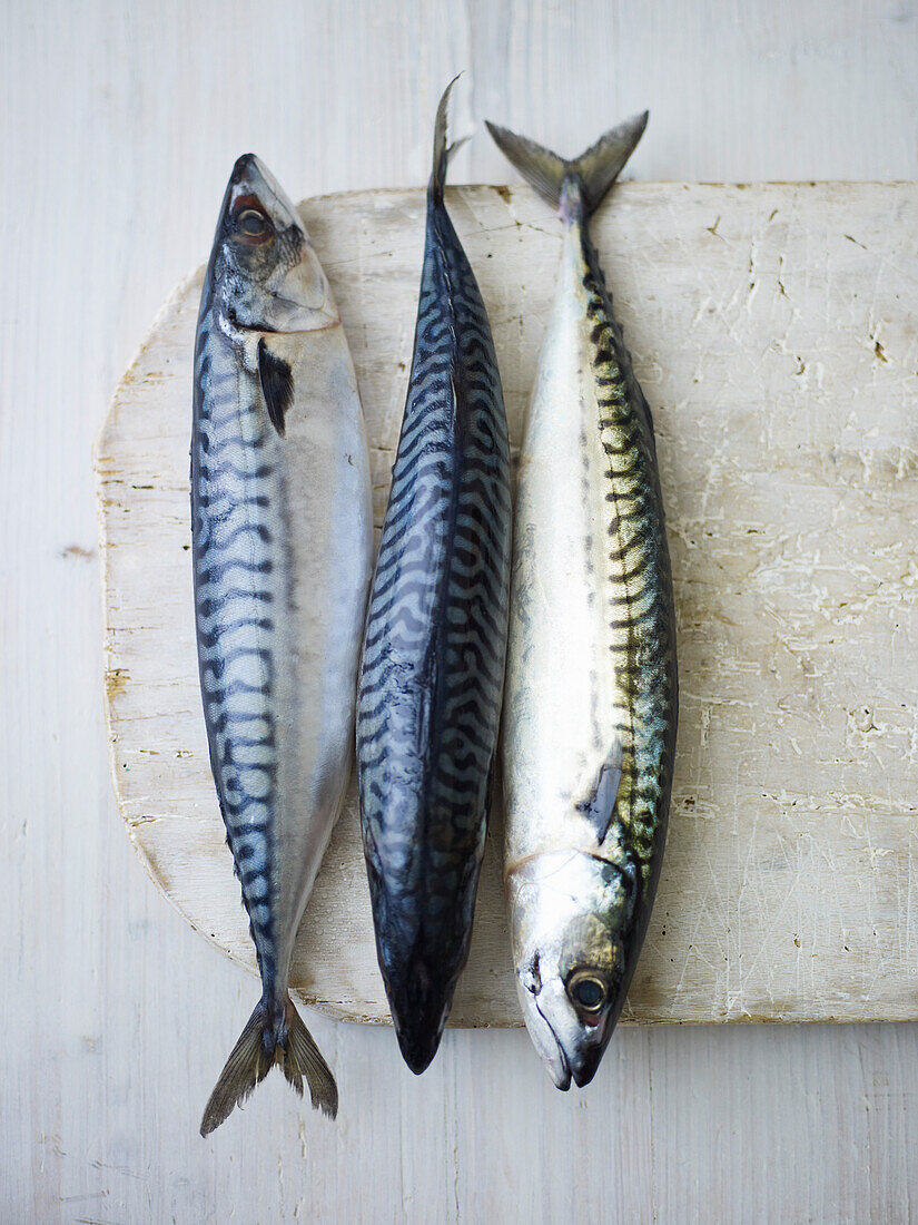 Three fresh mackerel on a stone platter