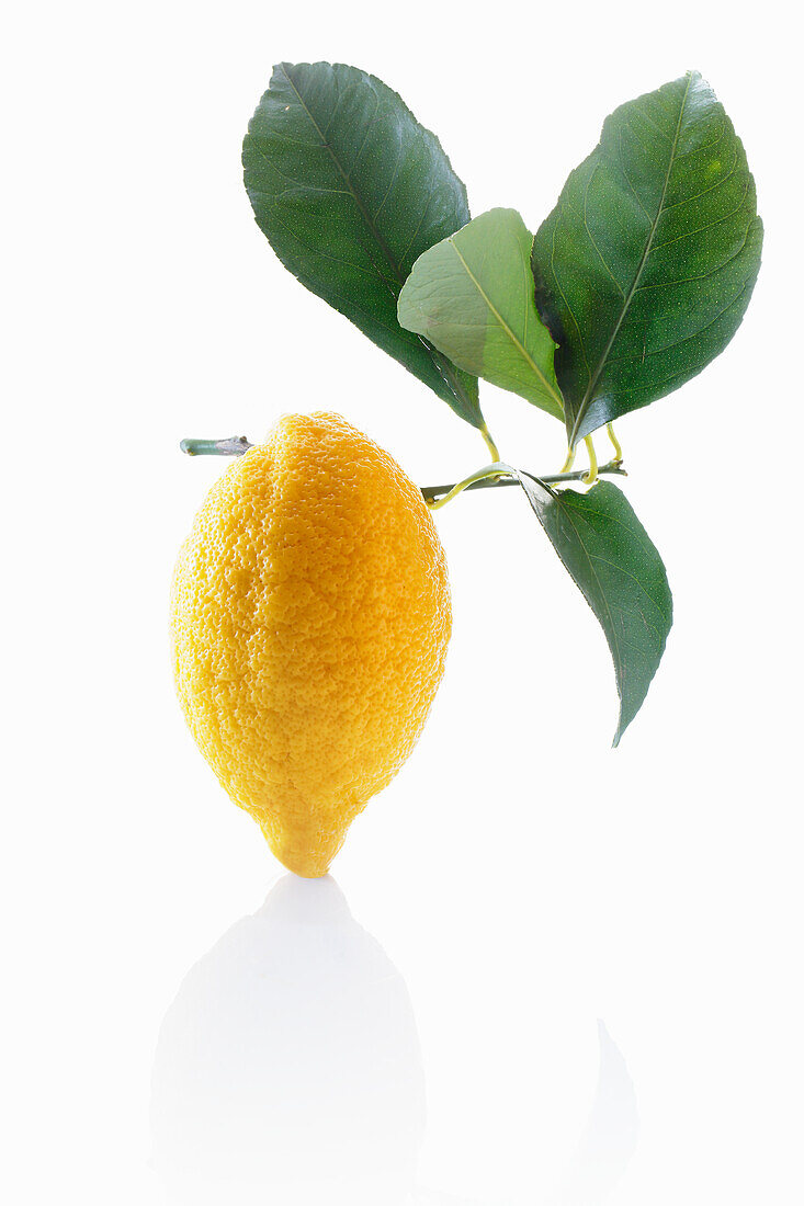 A lemon with leaves on a white surface