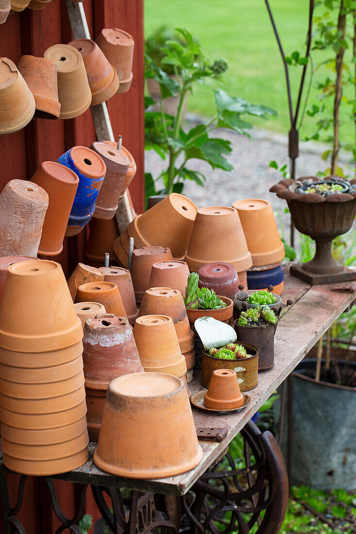 Terracotta pots on a potting bench made from an old sewing machine table